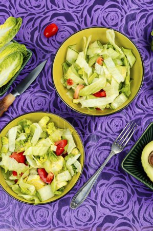 Téléchargez les photos : Salade végétalienne verte faite à partir d'un mélange de feuilles vertes et de légumes. Pose plate. - en image libre de droit