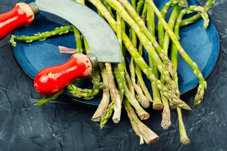 Photo for Uncooked raw and fresh asparagus on the kitchen table. - Royalty Free Image