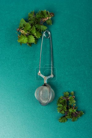 Fresh, young nettle and a tea spoon for herbal tea. Nettle herbal tea, homeopathy.
