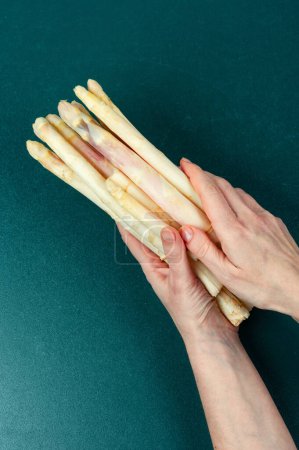Photo for Uncooked fresh white asparagus in hand. Seasonal spring vegetables. Healthy food. - Royalty Free Image