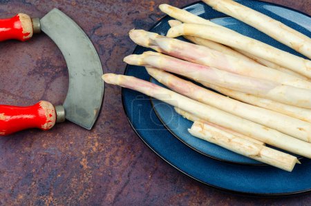 Bunch of uncooked fresh white asparagus on a kitchen background
