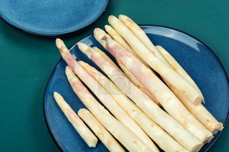 Bunch of uncooked fresh white asparagus. New season of asparagus