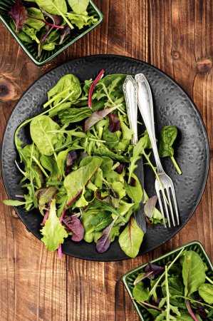 Photo for Green salad made from mixed green leaves and lettuce. - Royalty Free Image