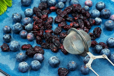Photo for Set of fresh blueberries and dried cranberries. Berries for berry tea. - Royalty Free Image