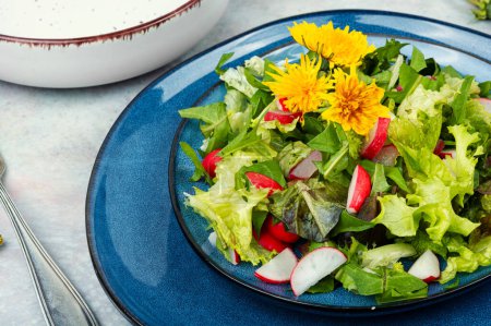 Foto de Ensalada de verduras, rábano y diente de león. Alimento sano de desintoxicación de primavera. - Imagen libre de derechos