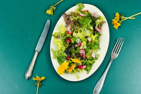 Foto de Ensalada de verduras, rábanos y diente de león. Comida saludable de primavera. Vista superior. - Imagen libre de derechos
