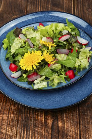 Téléchargez les photos : Salade printanière de légumes verts, radis et pissenlits sur table rustique en bois. Plante comestible. - en image libre de droit
