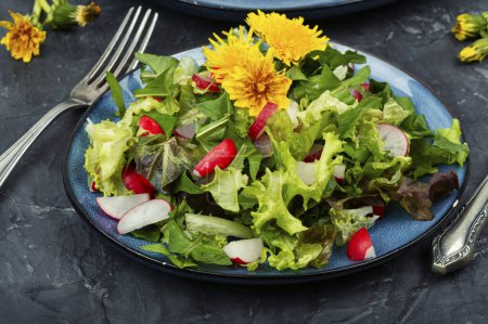 Téléchargez les photos : Salade printanière de légumes verts, radis et pissenlits. - en image libre de droit
