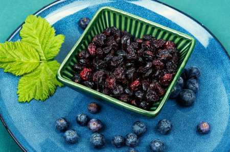 Photo for Bowl with tasty dried cranberries and blueberries. Raw blueberries and dried cranberries. - Royalty Free Image