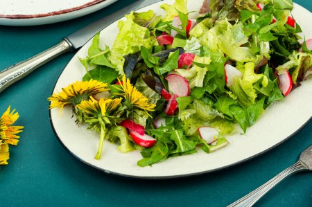 Photo for Fresh spring salad of greens,lettuce, radish and dandelions. - Royalty Free Image