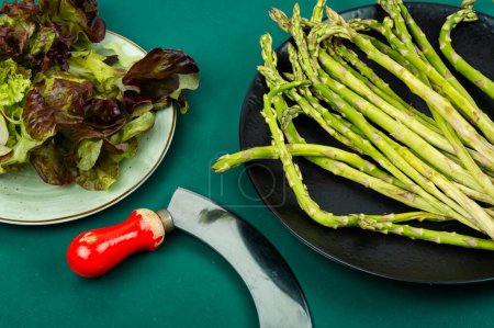 Photo for Uncooked raw and fresh asparagus on the table. Spring season - Royalty Free Image