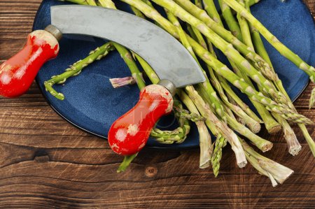 Photo for Uncooked raw and fresh asparagus on rustic wooden table. - Royalty Free Image