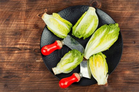 Frischer grüner Romaine Salat. Mini-Römersalat auf rustikalem Holztisch.