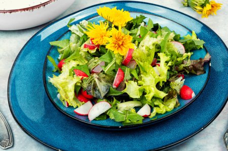 Téléchargez les photos : Salade de légumes verts, radis, laitue et pissenlits. Aliments sains de désintoxication printanière. - en image libre de droit