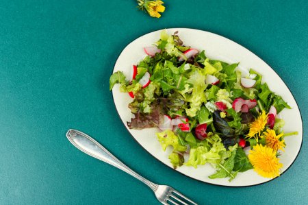 Téléchargez les photos : Salade de légumes verts, radis et pissenlits. Repas santé au printemps. Espace de copie. - en image libre de droit