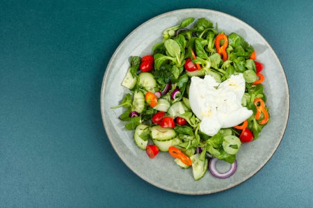 Photo for Vegetable salad of leafy greens, tomatoes, cucumbers, peppers and Burrata cheese. Italian fresh Burrata cheese. Copy space. - Royalty Free Image