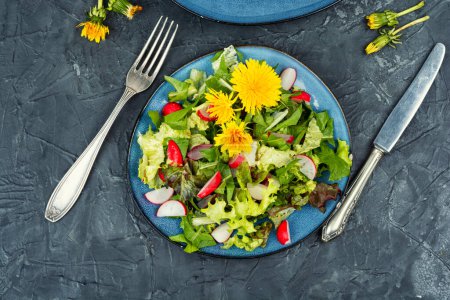 Téléchargez les photos : Salade printanière de légumes verts, radis et pissenlits. Vue du dessus. - en image libre de droit