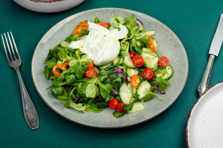 Vegetable dietary salad of lettuce, tomatoes, cucumbers, peppers and Burrata cheese.
