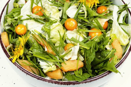 Spring salad with wild herbs, lettuce and physalis. Green cooking. Close up.