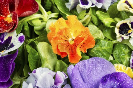 Foto de Ensalada de flores comestibles coloridas de temporada. Concepto de alimentación saludable. De cerca.. - Imagen libre de derechos