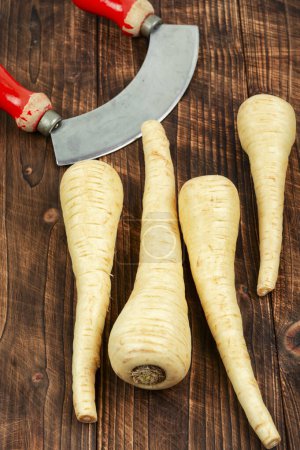 Raw parsnip roots or white root on the kitchen table. Root vegetables on a old wooden background.