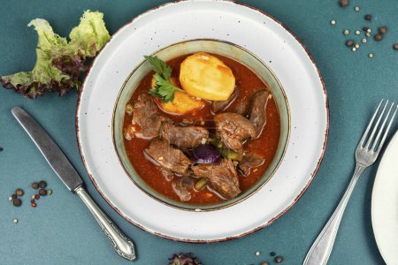 Goulash of venison meat or soup, meat goulash with potatoes in a bowl. Deer ragout.