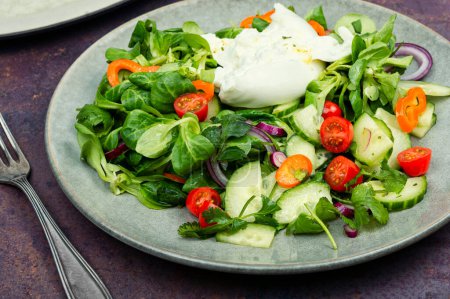 Photo for Dainty salad of greens, tomatoes, cucumbers, peppers and Burrata cheese. Italian fresh Burrata cheese. - Royalty Free Image