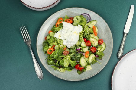 Téléchargez les photos : Salade moderne de légumes verts, tomates, concombres, poivrons et fromage à la crème frais Burrata. - en image libre de droit