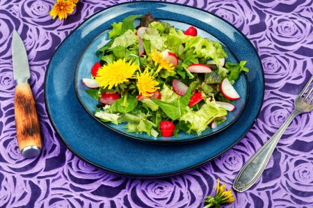 Salad of greens, radish, lettuce and dandelions, detox food.