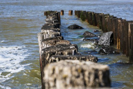Wooden breakwater poles form a linear pattern, extending into the sea, creating a captivating scene of maritime beauty and natural structure.
