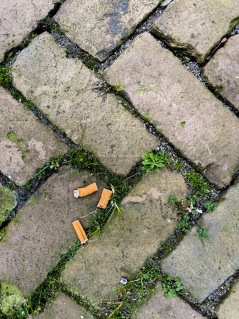Cigarette butts scattered on the grimy cobblestone pavement, observed from an elevated perspective, portraying urban neglect and pollution.