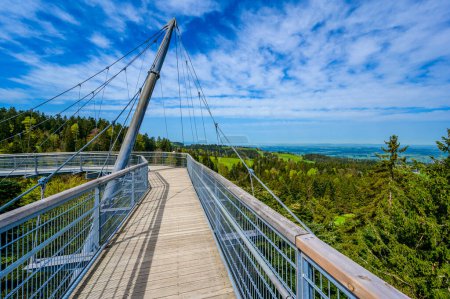 View of the tree top path and trail in beautiful mountain scenery - Skywalk in Alps - Travel destination in Scheidegg, Bavaria, Germany -