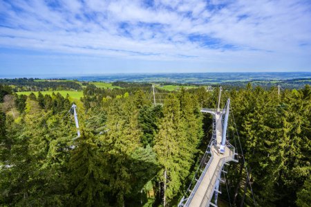 Vue sur le sentier arboré et le sentier dans de beaux paysages de montagne - Skywalk dans les Alpes - Destination de voyage à Scheidegg, Bavière, Allemagne -