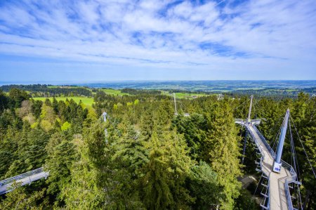 Blick auf Baumwipfelpfad und Wanderweg in herrlicher Berglandschaft - Skywalk in den Alpen - Reiseziel Scheidegg, Bayern -