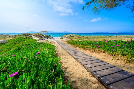 Tam Tam Beach - beautiful coast scenery with paradise beach on island Kos - travel destination in Greece, Europe