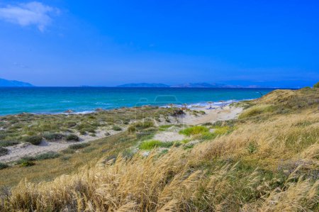 Tam Tam Beach - hermoso paisaje de costa con playa paradisíaca en la isla de Kos - destino de viaje en Grecia, Europa