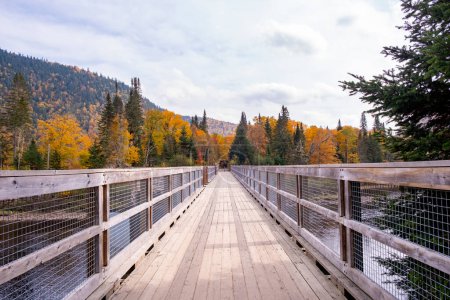 Foto de Puente de madera sobre el río Jacques-Cartier Rodeado de colorido follaje otoñal, Quebec, Canadá - Imagen libre de derechos