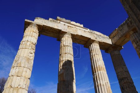Photo for White columns of the ancient temple of Zeus, against a blue sky, at Nemea, Greece - Royalty Free Image