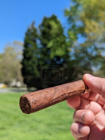 Téléchargez les photos : Détail de la main d'un fumeur tenant un cigare brûlant dans un jardin avec un fond flou - en image libre de droit