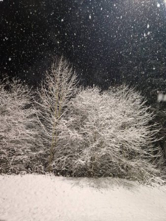 Nächtliche Landschaft mit einem Baum unter Sternen und schneebedecktem Tal. Bunte authentische winterfrostige Komposition mit Kopierraum