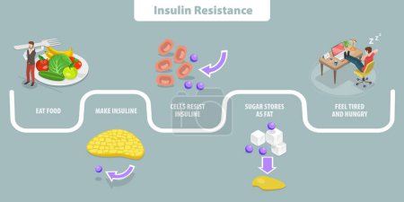 Téléchargez les illustrations : Illustration conceptuelle 3D vecteur plat isométrique de la résistance à l'insuline, symptômes du syndrome métabolique - en licence libre de droit