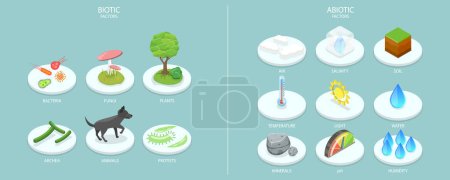 Téléchargez les illustrations : Illustration conceptuelle 3D vecteur plat isométrique des facteurs biotiques et abiotiques, carte éducative - en licence libre de droit