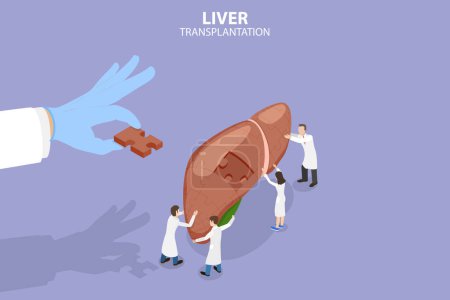 Illustration for 3D Isometric Flat Vector Conceptual Illustration of Liver Transplantation, Donation Organs - Royalty Free Image