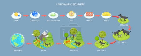 Ilustración de 3D Isometric Flat Vector Conceptual Illustration of Living World Biosphere, Labeled Ecosystem Explanation Scheme Outline - Imagen libre de derechos