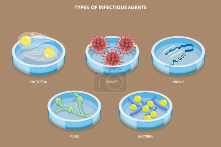 Ensemble de vecteurs plats isométriques 3D de types d'agents infectieux, micro-organismes responsables de maladies