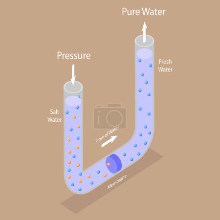Ilustración de Ilustración conceptual plana isométrica 3D del vector de la ósmosis inversa, proceso de la purificación del agua - Imagen libre de derechos