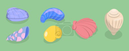 Illustration for 3D Isometric Flat Vector Set of Seashells, Ocean Cockleshells - Royalty Free Image