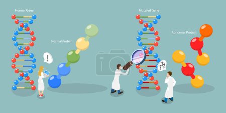 Ilustración de Ilustración conceptual del vector plano isométrico 3D de la mutación genética, biología molecular - Imagen libre de derechos