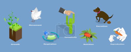 Illustration for 3D Isometric Flat Vector Conceptual Illustration of Characteristics Of Living Things, Educational Diagram - Royalty Free Image