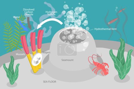Illustration for 3D Isometric Flat Vector Conceptual Illustration of Chemosynthesis, Hydrothermal Vent - Royalty Free Image
